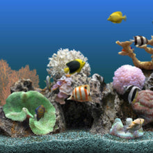 אבני טורקיז